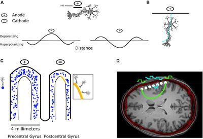 Direct Electrical Stimulation in Electrocorticographic Brain–Computer Interfaces: Enabling Technologies for Input to Cortex